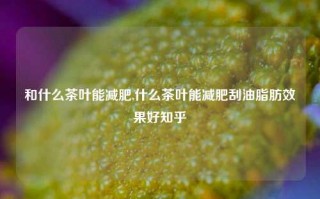 和什么茶叶能减肥,什么茶叶能减肥刮油脂肪效果好知乎