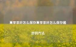 夏季茶叶怎么保存夏季茶叶怎么保存最好的方法