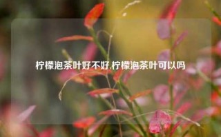 柠檬泡茶叶好不好,柠檬泡茶叶可以吗