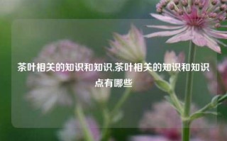 茶叶相关的知识和知识,茶叶相关的知识和知识点有哪些