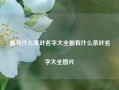 都有什么茶叶名字大全都有什么茶叶名字大全图片