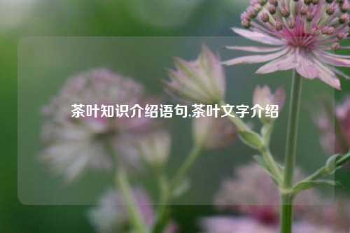 茶叶知识介绍语句,茶叶文字介绍-第1张图片-茶叶供应, 茶叶批发, 茶艺知识