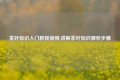 茶叶知识入门教程视频,讲解茶叶知识哪些步骤-第1张图片-茶叶供应, 茶叶批发, 茶艺知识