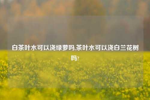 白茶叶水可以浇绿萝吗,茶叶水可以浇白兰花树吗?-第1张图片-茶叶供应, 茶叶批发, 茶艺知识