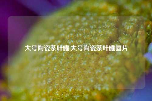 大号陶瓷茶叶罐,大号陶瓷茶叶罐图片-第1张图片-茶叶供应, 茶叶批发, 茶艺知识