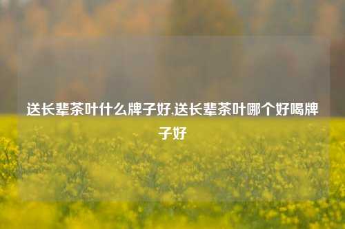 送长辈茶叶什么牌子好,送长辈茶叶哪个好喝牌子好-第1张图片-茶叶供应, 茶叶批发, 茶艺知识