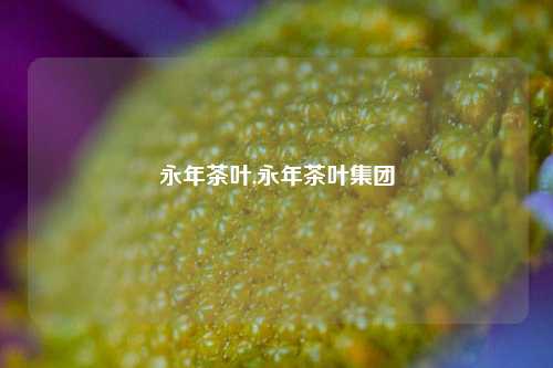 永年茶叶,永年茶叶集团-第1张图片-茶叶供应, 茶叶批发, 茶艺知识