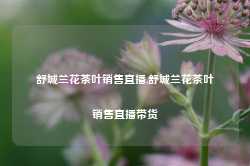 舒城兰花茶叶销售直播,舒城兰花茶叶销售直播带货-第1张图片-茶叶供应, 茶叶批发, 茶艺知识