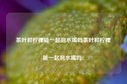 茶叶和柠檬能一起泡水喝吗茶叶和柠檬能一起泡水喝吗?-第1张图片-茶叶供应, 茶叶批发, 茶艺知识