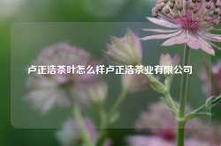 卢正浩茶叶怎么样卢正浩茶业有限公司-第1张图片-茶叶供应, 茶叶批发, 茶艺知识