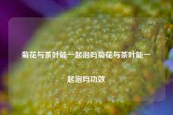 菊花与茶叶能一起泡吗菊花与茶叶能一起泡吗功效-第1张图片-茶叶供应, 茶叶批发, 茶艺知识