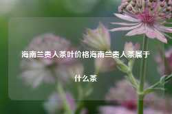 海南兰贵人茶叶价格海南兰贵人茶属于什么茶-第1张图片-茶叶供应, 茶叶批发, 茶艺知识