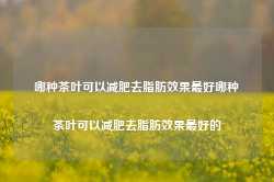 哪种茶叶可以减肥去脂肪效果最好哪种茶叶可以减肥去脂肪效果最好的-第1张图片-茶叶供应, 茶叶批发, 茶艺知识