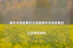 茶叶水洗脸美白又祛斑茶叶水洗脸美白又祛斑有用吗-第1张图片-茶叶供应, 茶叶批发, 茶艺知识