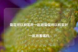 菊花可以和茶叶一起泡菊花可以和茶叶一起泡着喝吗-第1张图片-茶叶供应, 茶叶批发, 茶艺知识