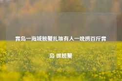 青岛一海域螃蟹扎堆有人一晚捞百斤青岛 抓螃蟹-第1张图片-茶叶供应, 茶叶批发, 茶艺知识