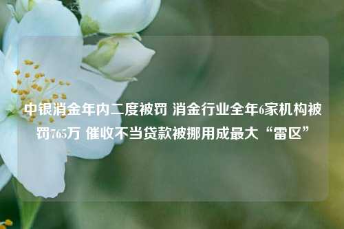 中银消金年内二度被罚 消金行业全年6家机构被罚765万 催收不当贷款被挪用成最大“雷区”