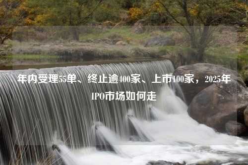 年内受理55单、终止逾400家、上市100家，2025年IPO市场如何走