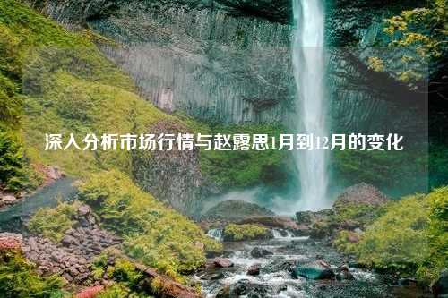 深入分析市场行情与赵露思1月到12月的变化