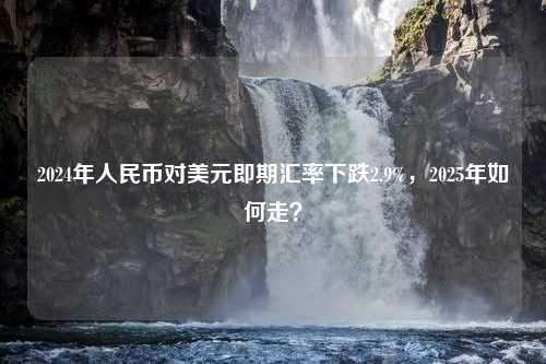 2024年人民币对美元即期汇率下跌2.9%，2025年如何走？