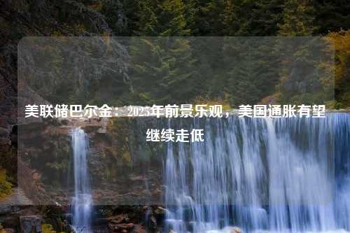 美联储巴尔金：2025年前景乐观，美国通胀有望继续走低