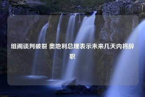 组阁谈判破裂 奥地利总理表示未来几天内将辞职