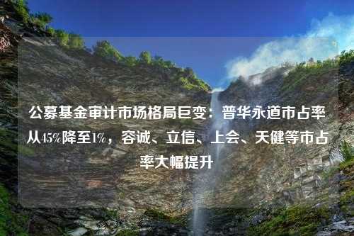 公募基金审计市场格局巨变：普华永道市占率从45%降至1%，容诚、立信、上会、天健等市占率大幅提升