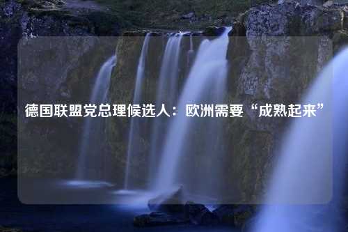 德国联盟党总理候选人：欧洲需要“成熟起来”