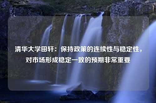 清华大学田轩：保持政策的连续性与稳定性，对市场形成稳定一致的预期非常重要