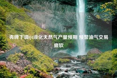 壳牌下调Q4液化天然气产量预期 预警油气交易疲软