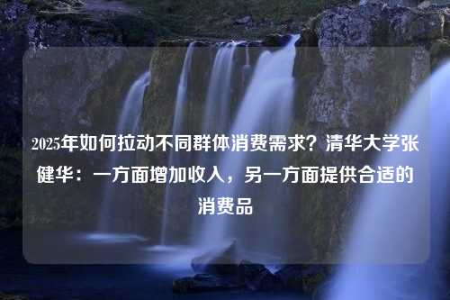 2025年如何拉动不同群体消费需求？清华大学张健华：一方面增加收入，另一方面提供合适的消费品