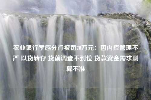 农业银行孝感分行被罚70万元：因内控管理不严 以贷转存 贷前调查不到位 贷款资金需求测算不准