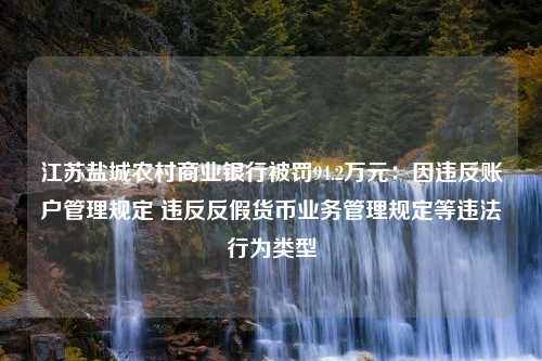 江苏盐城农村商业银行被罚94.2万元：因违反账户管理规定 违反反假货币业务管理规定等违法行为类型