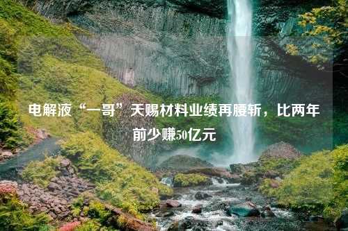 电解液“一哥”天赐材料业绩再腰斩，比两年前少赚50亿元