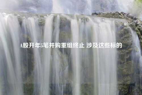 A股开年5笔并购重组终止 涉及这些标的