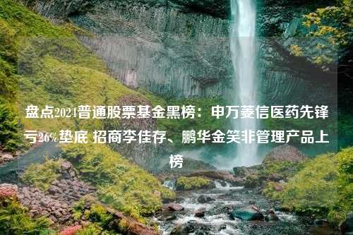 盘点2024普通股票基金黑榜：申万菱信医药先锋亏26%垫底 招商李佳存、鹏华金笑非管理产品上榜