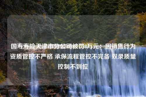 国寿寿险天津市分公司被罚3万元：因销售行为资质管控不严格 承保流程管控不完备 双录质量控制不到位