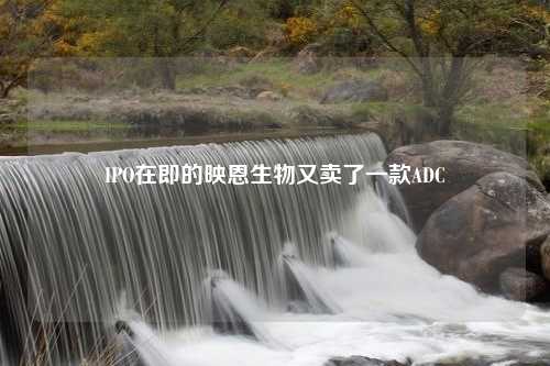 IPO在即的映恩生物又卖了一款ADC