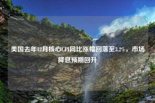 美国去年12月核心CPI同比涨幅回落至3.2%，市场降息预期回升