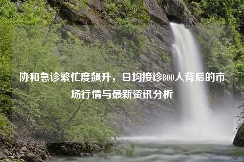 协和急诊繁忙度飙升，日均接诊800人背后的市场行情与最新资讯分析