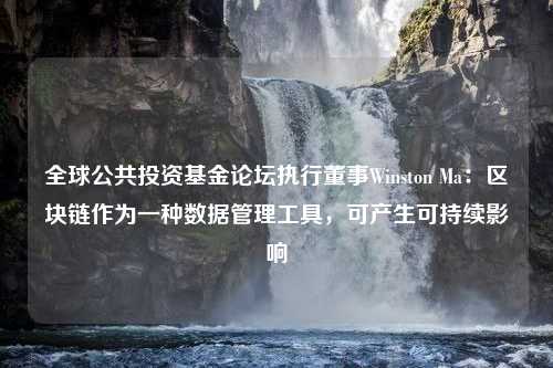 全球公共投资基金论坛执行董事Winston Ma：区块链作为一种数据管理工具，可产生可持续影响