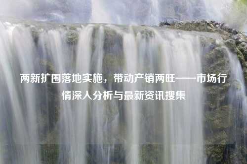 两新扩围落地实施，带动产销两旺——市场行情深入分析与最新资讯搜集