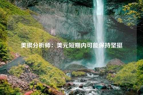 美银分析师：美元短期内可能保持坚挺