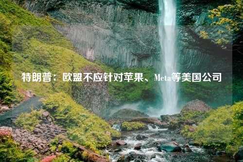 特朗普：欧盟不应针对苹果、Meta等美国公司