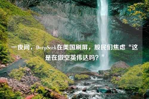 一夜间，DeepSeek在美国刷屏，股民们焦虑“这是在做空英伟达吗？”