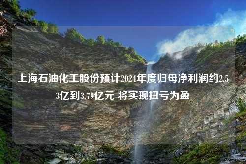 上海石油化工股份预计2024年度归母净利润约2.53亿到3.79亿元 将实现扭亏为盈